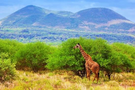 Tsavo East National Park