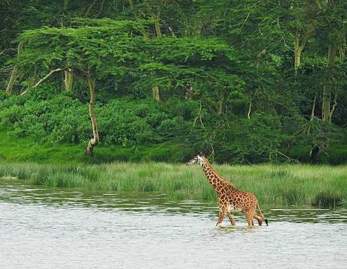 Arusha National Park